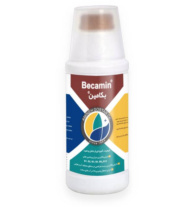 bekamin
