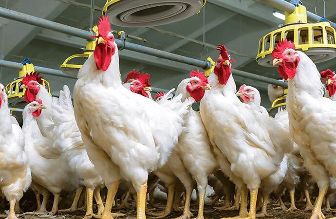 article1